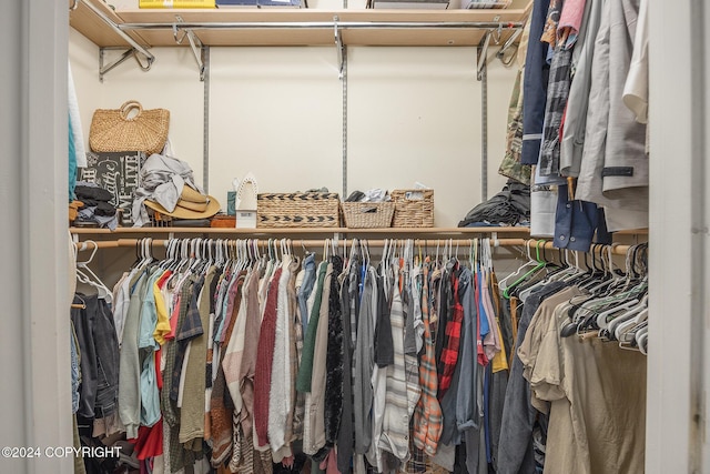 view of spacious closet