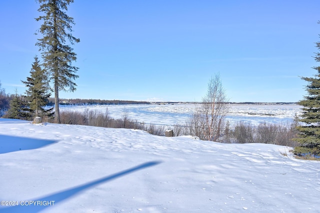 2795 Watergate Way, Kenai, AK 99611 - view of yard covered in snow