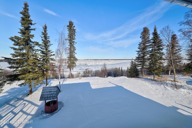 view of yard covered in snow