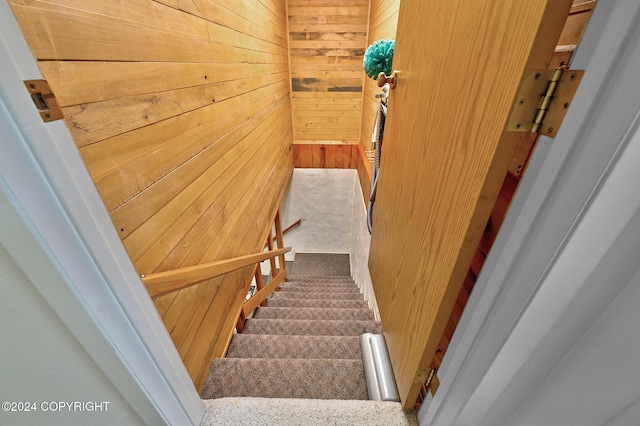 staircase with wood walls