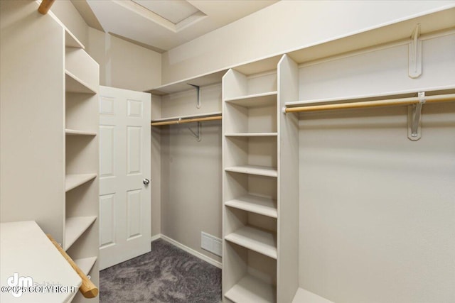 walk in closet with dark colored carpet