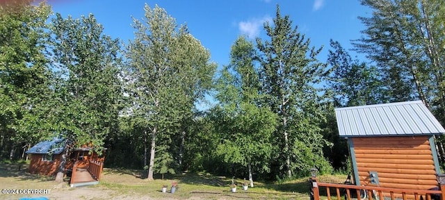 view of yard with a shed