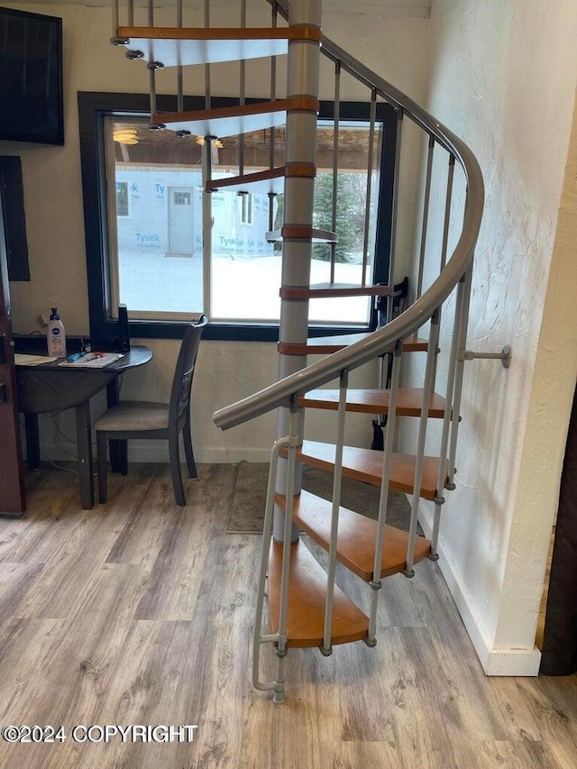 staircase featuring wood-type flooring