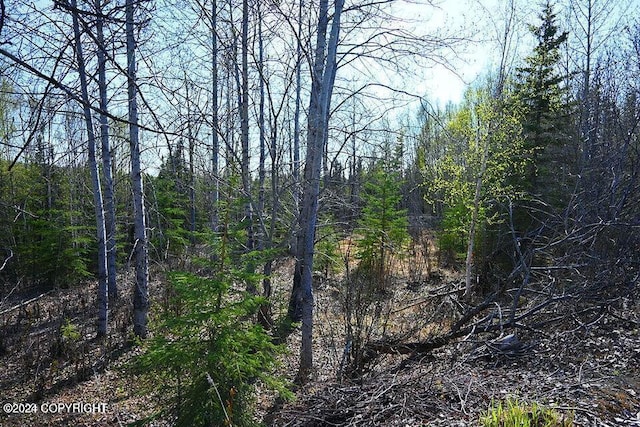 view of landscape