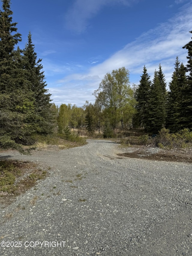 125 Judy Ln, Soldotna, AK 99669 - photo 9