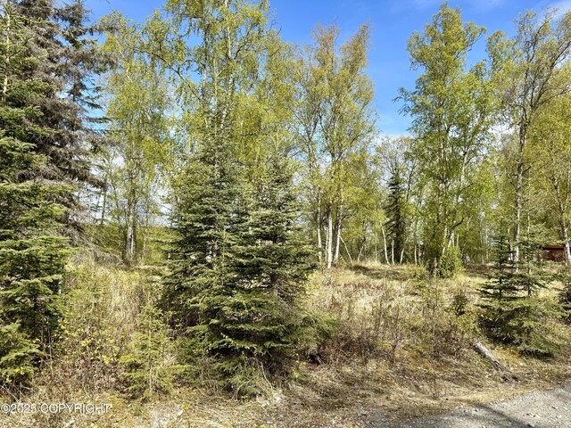 125 Judy Ln, Soldotna, AK 99669 - photo 6