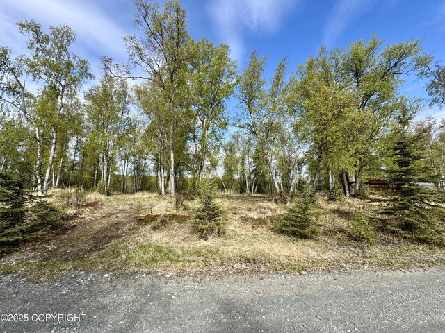 125 Judy Ln, Soldotna, AK 99669 - photo 7