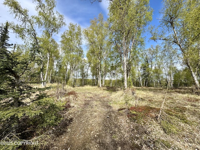125 Judy Ln, Soldotna, AK 99669 - photo 8