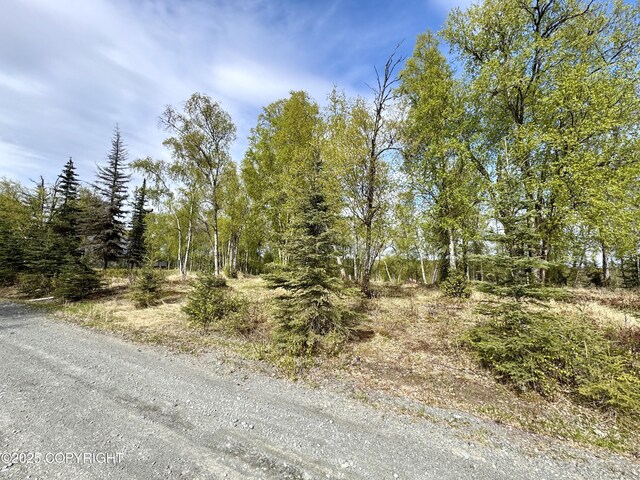 125 Judy Ln, Soldotna, AK 99669 - photo 1