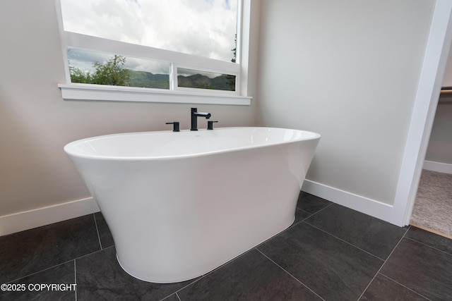 bathroom featuring tile patterned floors and a washtub