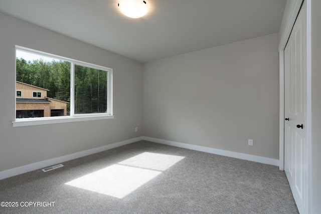 unfurnished bedroom featuring carpet flooring and a closet