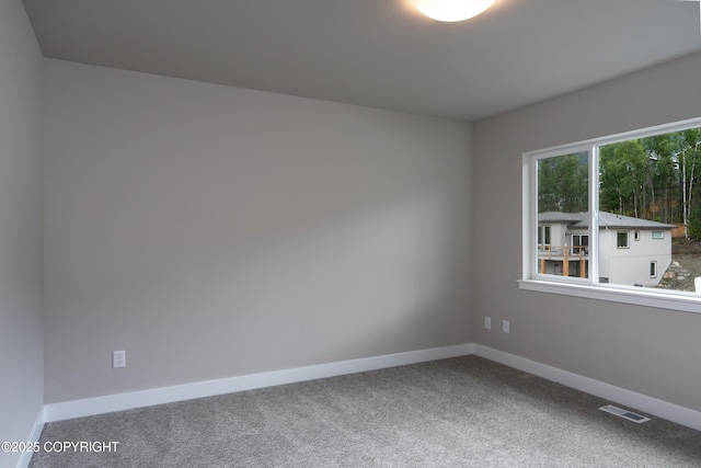 unfurnished room featuring carpet floors