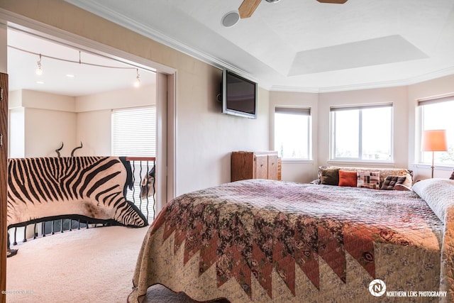 16643 Woods Pointe Cir, Anchorage, AK 99516 - bedroom with carpet flooring, crown molding, a raised ceiling, and ceiling fan