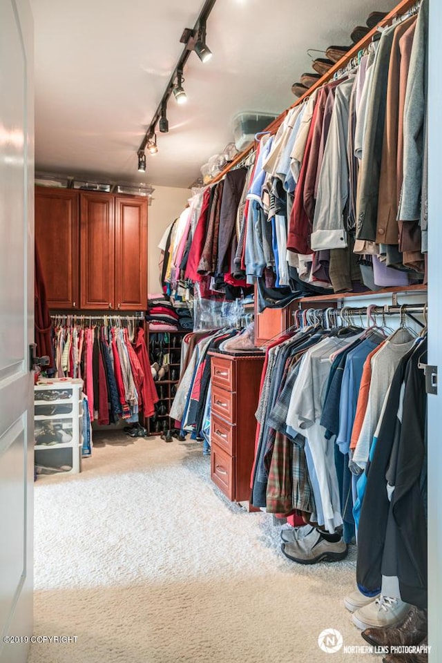 16643 Woods Pointe Cir, Anchorage, AK 99516 - spacious closet with carpet floors