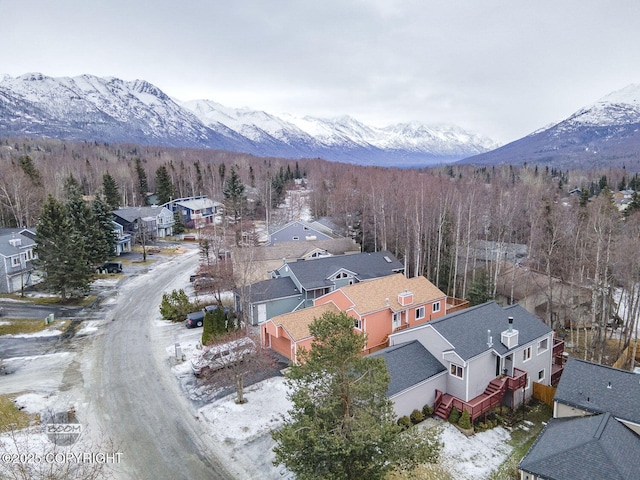 snowy aerial view featuring a mountain view