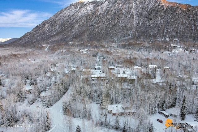 view of mountain feature