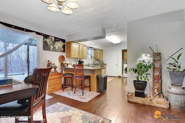 dining room with dark hardwood / wood-style floors, a textured ceiling, and washer / dryer