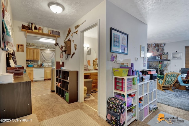 interior space with a textured ceiling, light colored carpet, and sink