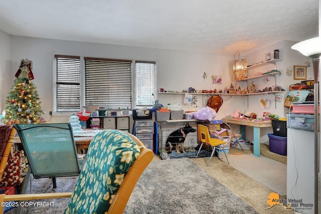 dining room featuring carpet floors and a textured ceiling