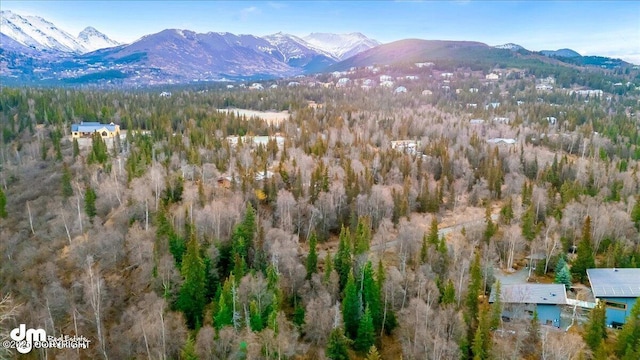 Listing photo 2 for L4 Blair View Cir, Anchorage AK 99516