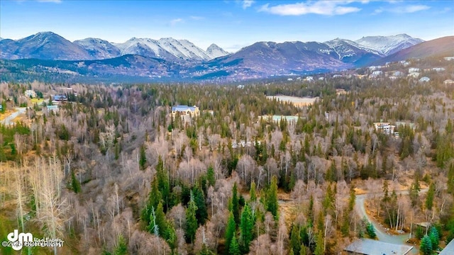 L4 Blair View Cir, Anchorage AK, 99516 land for sale