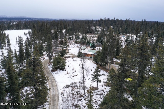 view of snowy aerial view