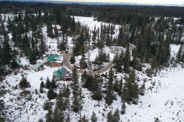 view of snowy aerial view