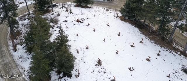 view of snowy aerial view