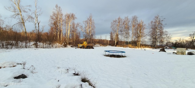 yard covered in snow with a trampoline