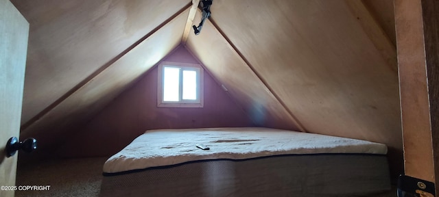 bedroom featuring lofted ceiling