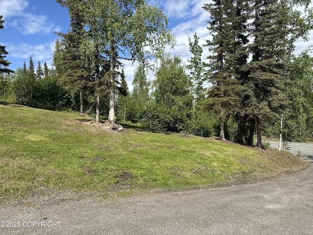35385 Reger Rd, Soldotna, AK 99669 - photo 16