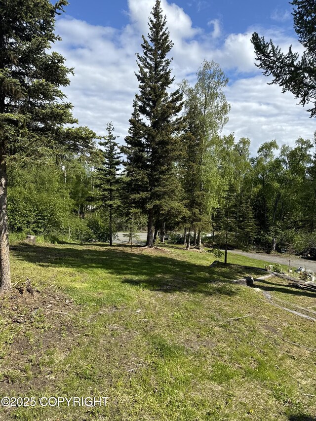 35385 Reger Rd, Soldotna, AK 99669 - photo 55