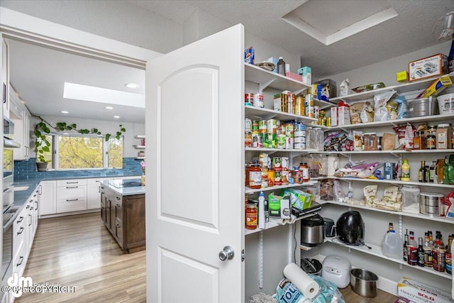 view of pantry