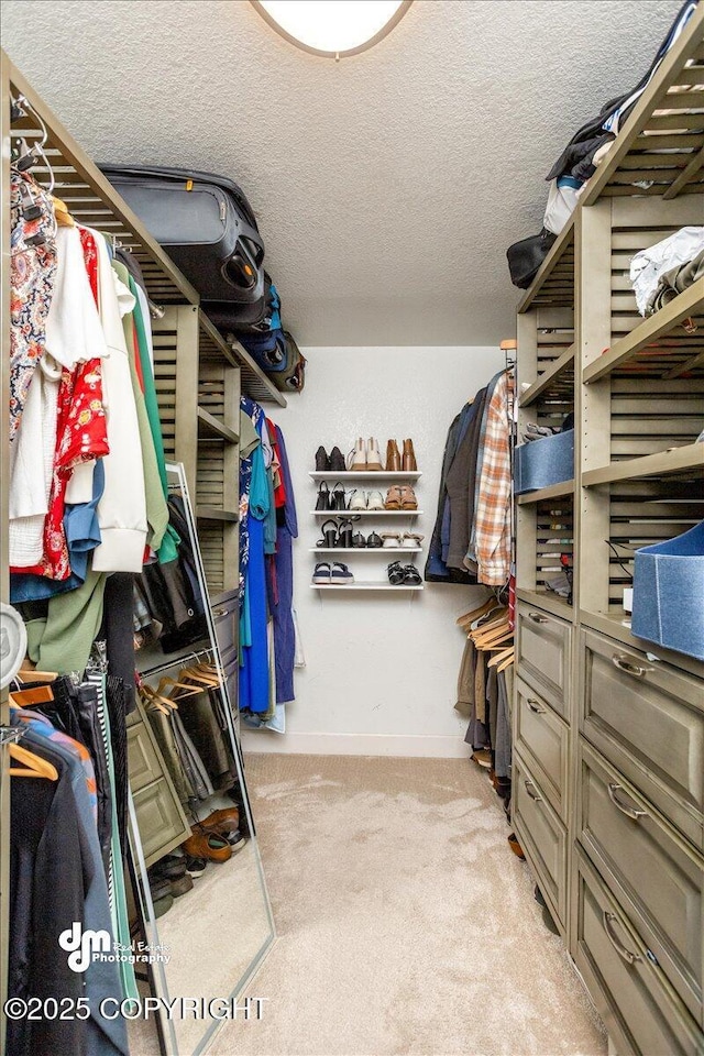 walk in closet featuring light carpet