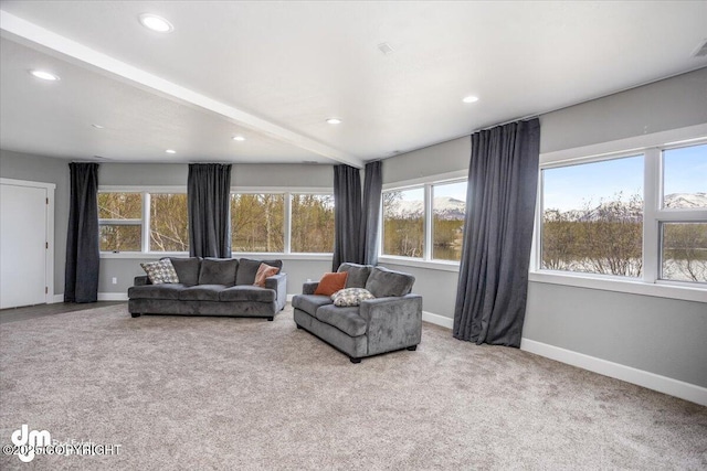 view of carpeted living room