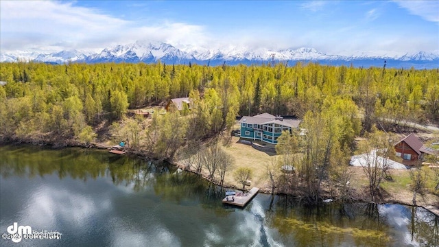 birds eye view of property featuring a water and mountain view