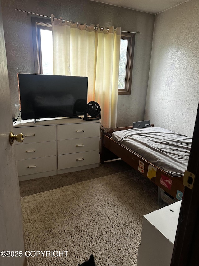 8281 Stratton Cir, Anchorage, AK 99507 - bedroom with a textured wall, multiple windows, and carpet