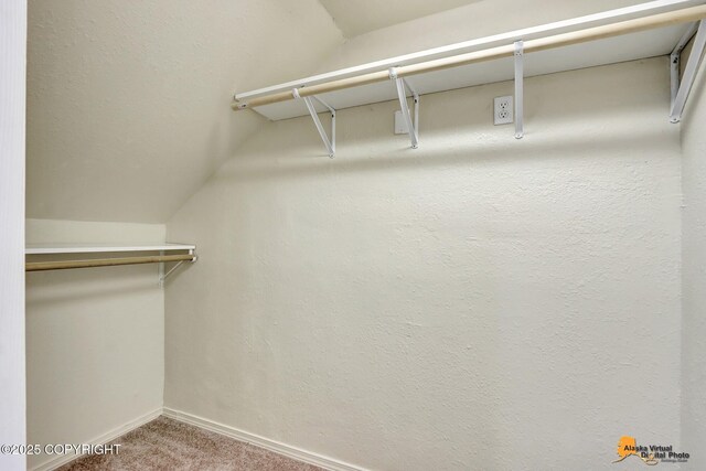 walk in closet with carpet floors and vaulted ceiling