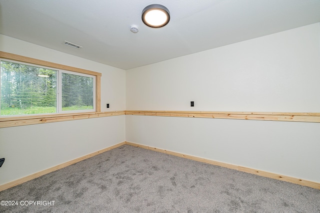 spare room with carpet floors