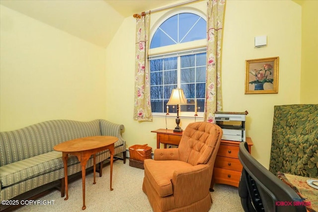 living area featuring vaulted ceiling