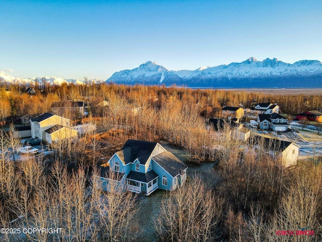 birds eye view of property with a mountain view