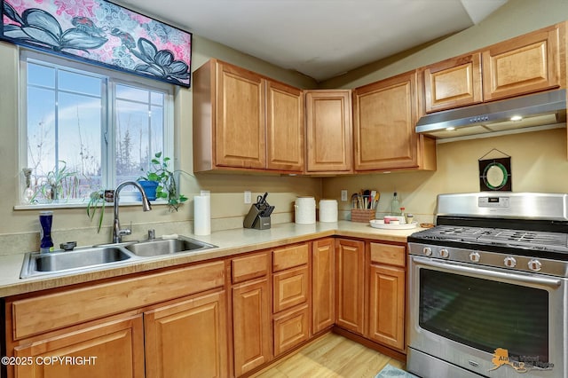 kitchen with gas stove, light hardwood / wood-style floors, and sink