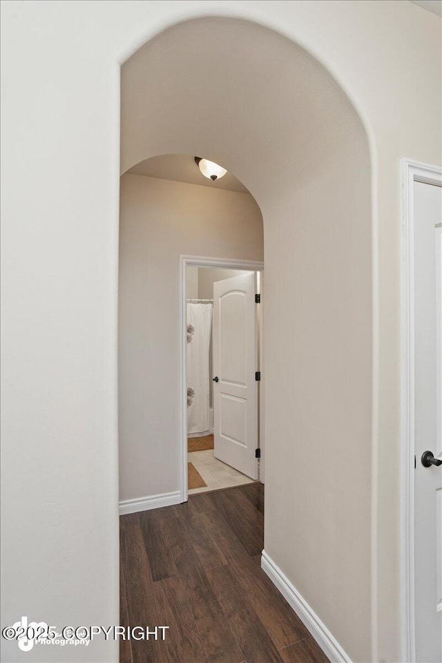 corridor featuring dark wood-type flooring