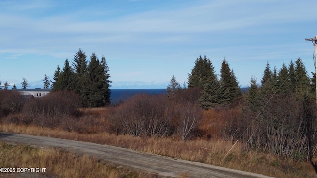 71151 Katana Dr, Anchor Point AK, 99556 land for sale