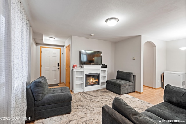 living room featuring light hardwood / wood-style floors and a textured ceiling