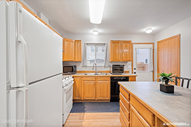 kitchen featuring white appliances, light hardwood / wood-style floors, and sink