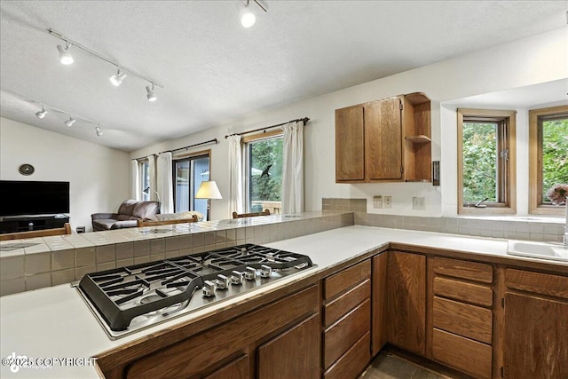 14051 Fejes Rd, Anchorage, AK 99516 - photo 10