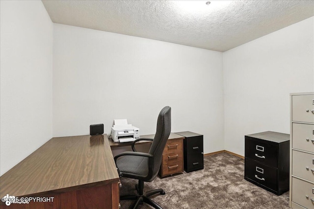 14051 Fejes Rd, Anchorage, AK 99516 - photo 29