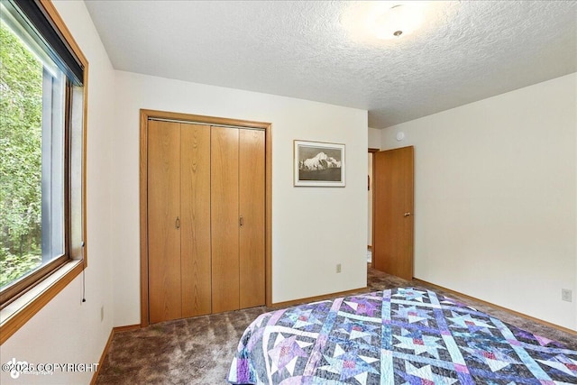 14051 Fejes Rd, Anchorage, AK 99516 - photo 28