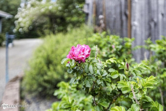 14051 Fejes Rd, Anchorage, AK 99516 - photo 58